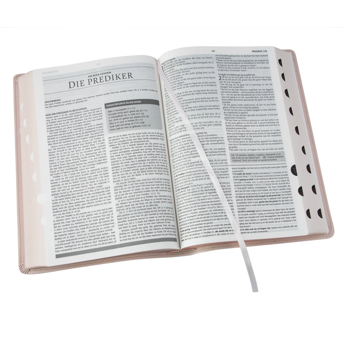 Afrikaans 1933/1953 Vertaling Ligroos Kunsleer Verklarende Studiebybel - Image 5