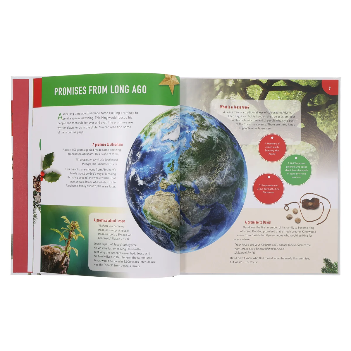All about Christmas: Over 100 Amazing Facts behind the Christmas Story - 1 All About… HC - Image 3
