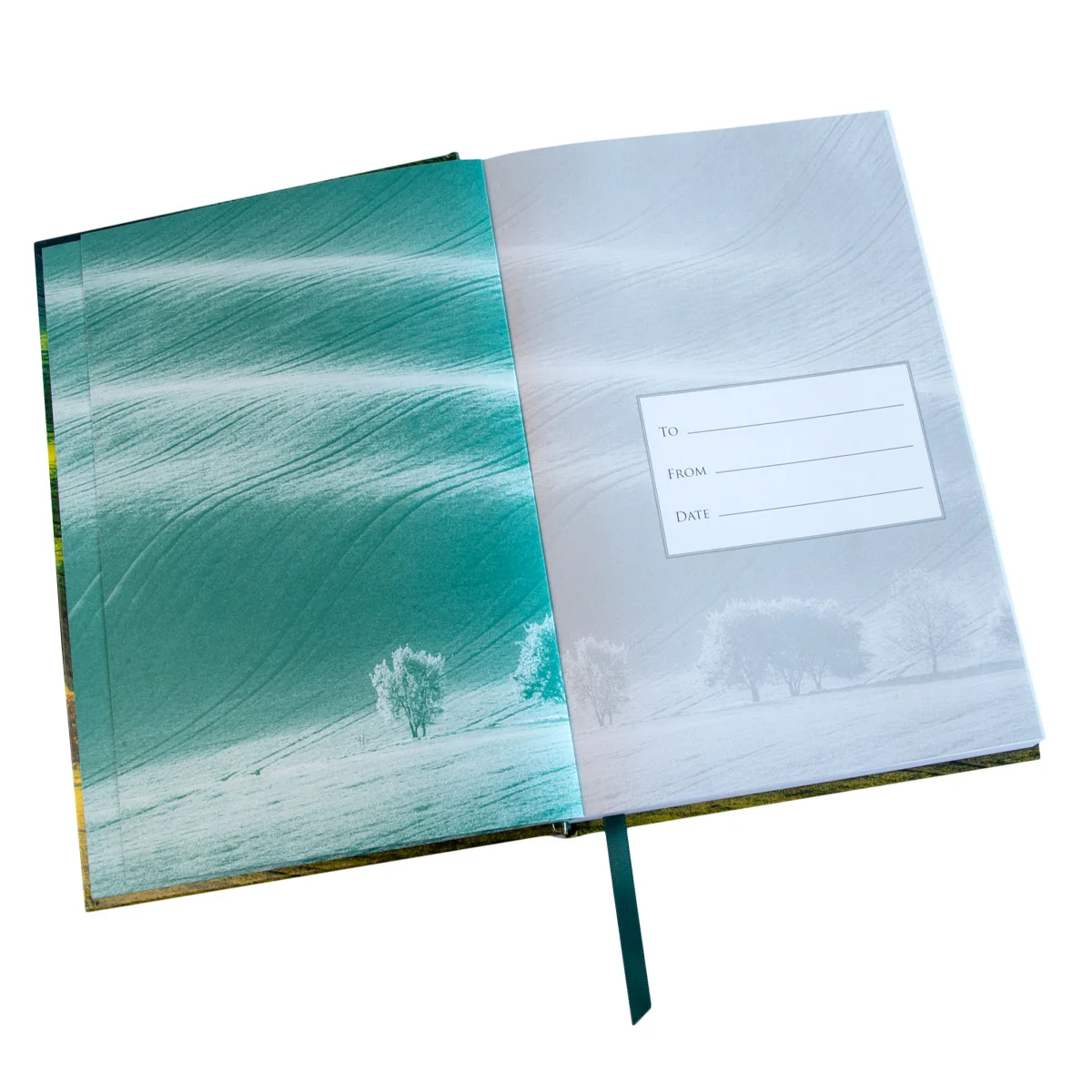 All That I Need (Hardcover) - Image 4