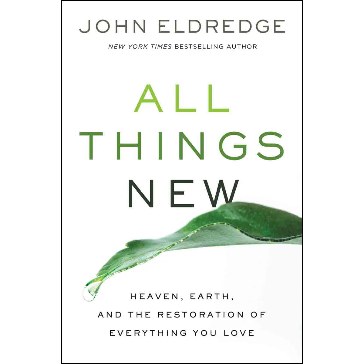 All Things New: Heaven Earth And The Restoration Of Everything / Love (Paperback)