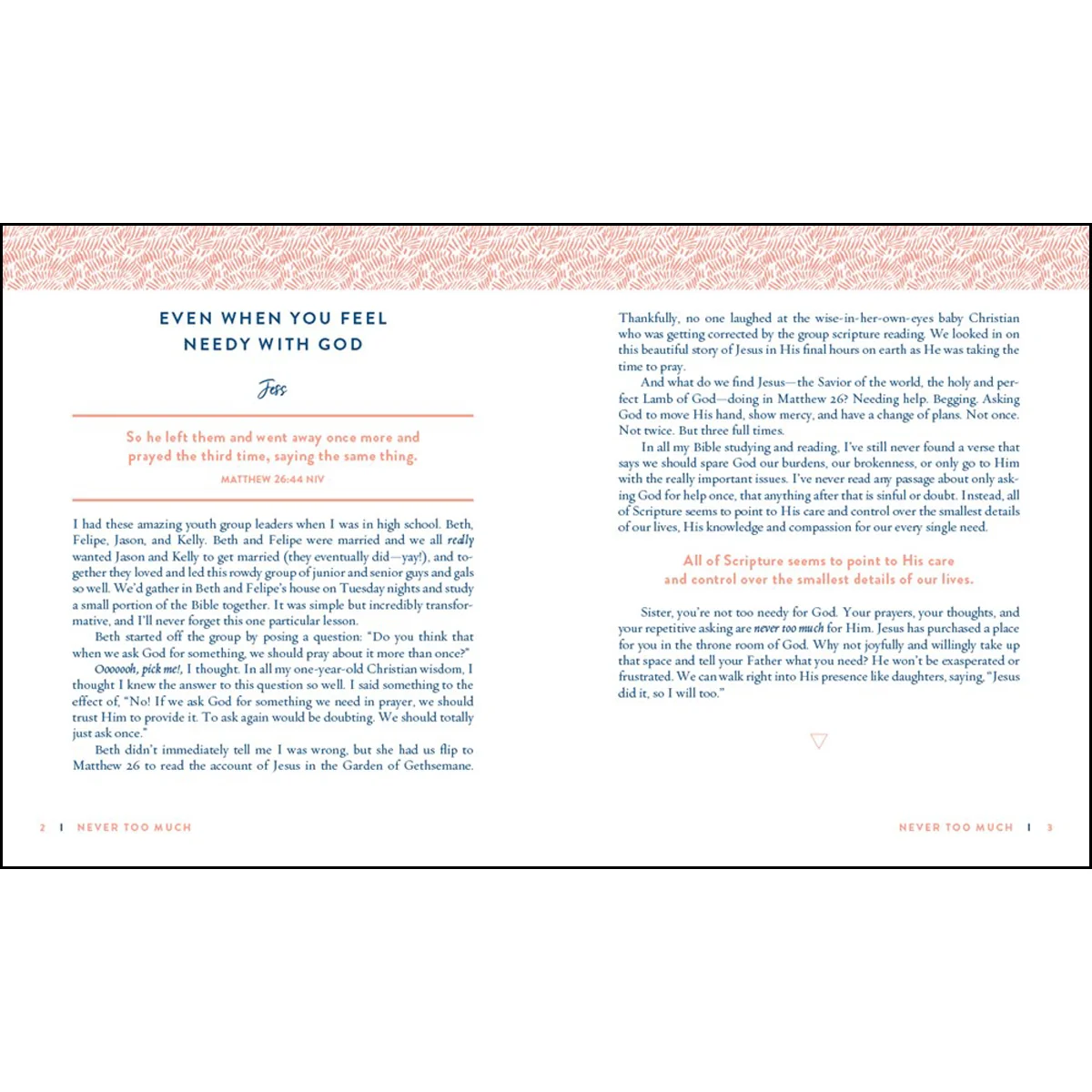 Always Enough, Never Too Much (Hardcover) - Image 2
