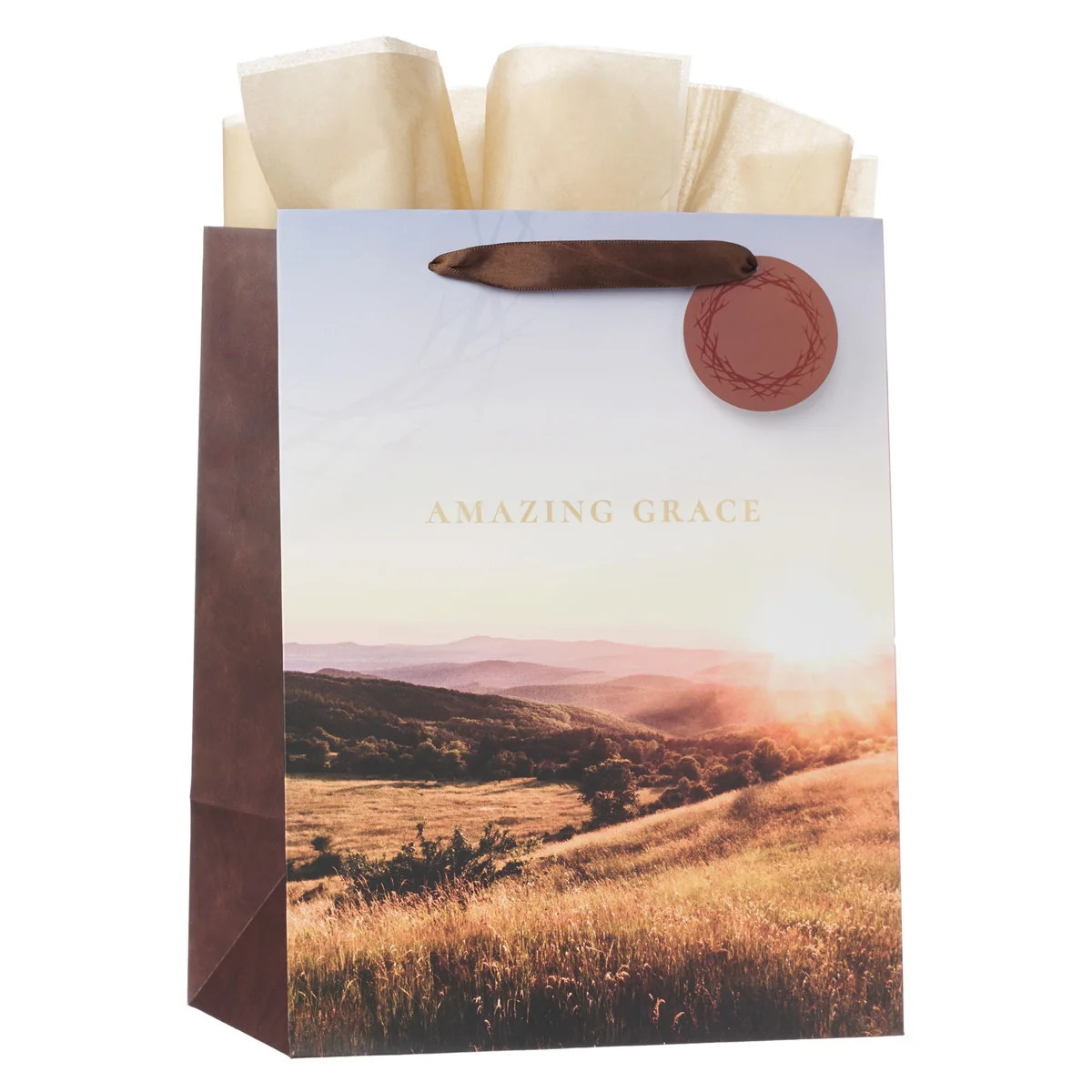 Amazing Grace Crown of Thorns Portrait Gift Bag with Gift Tag - Image 3
