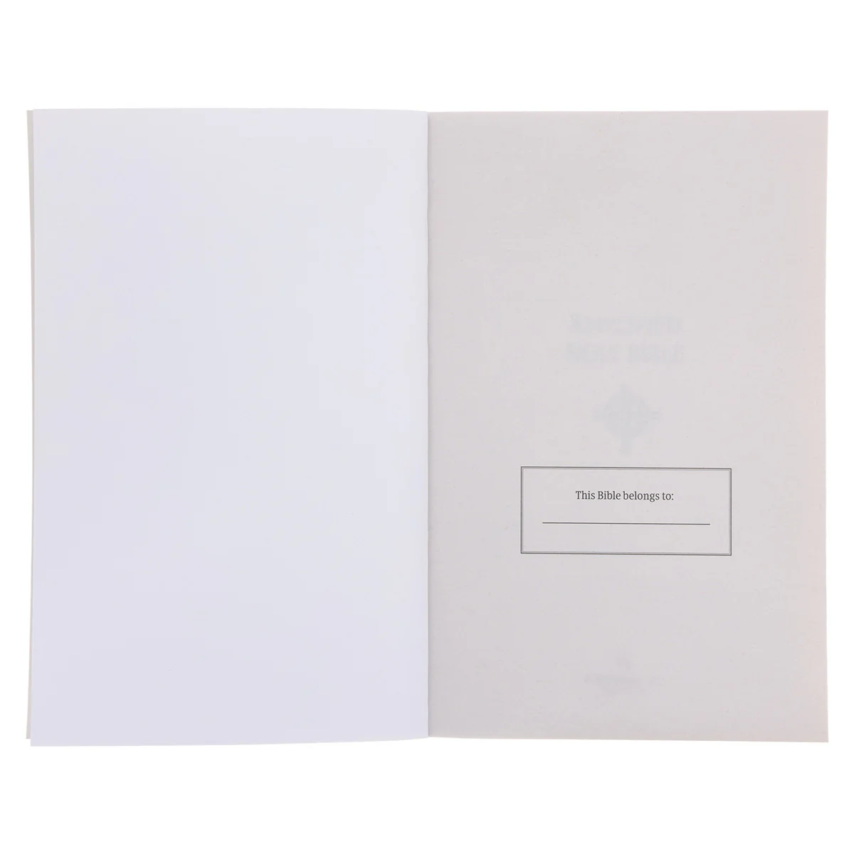 Amplified Black Paperback Economy Edition Bible - Image 4