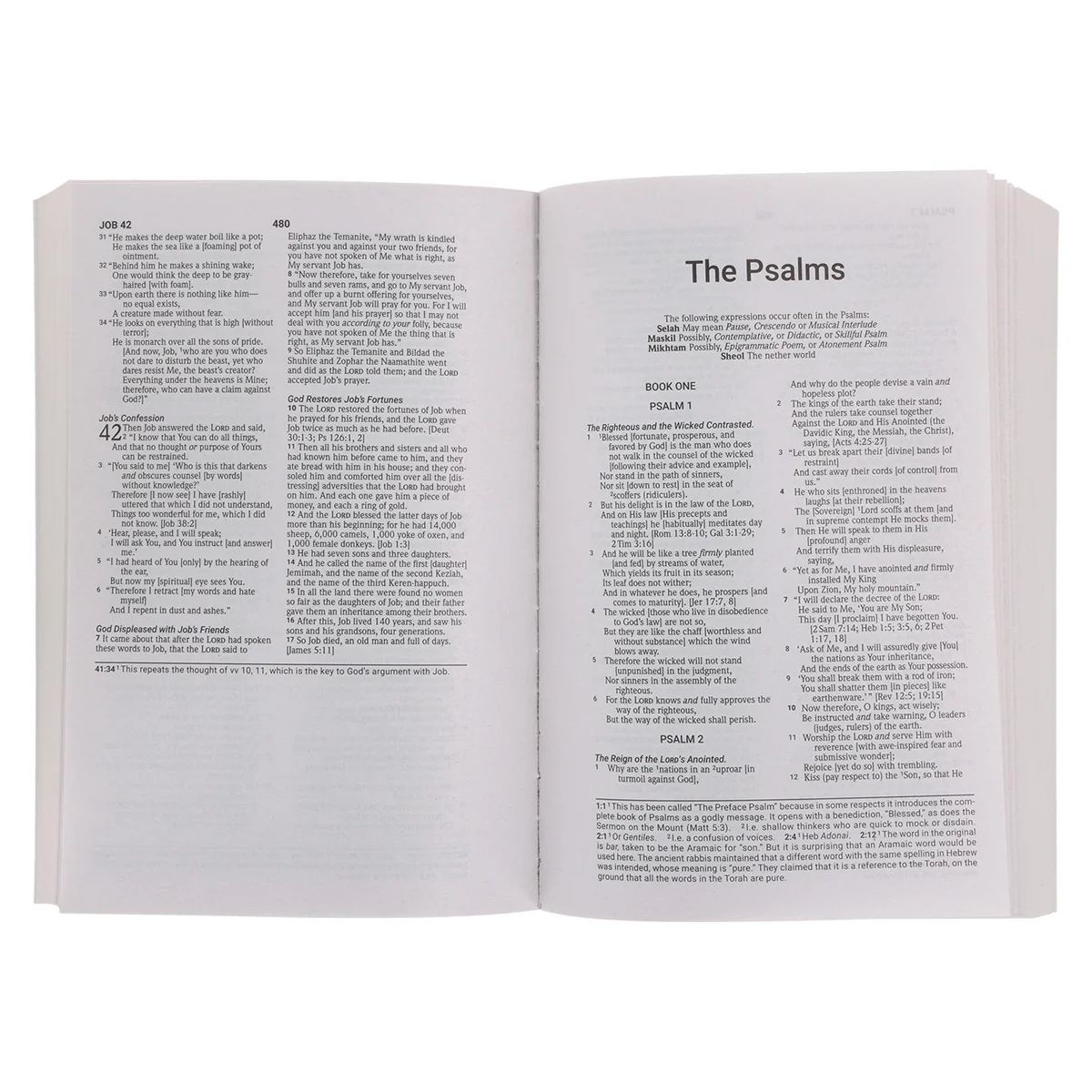 Amplified Black Paperback Economy Edition Bible - Image 5