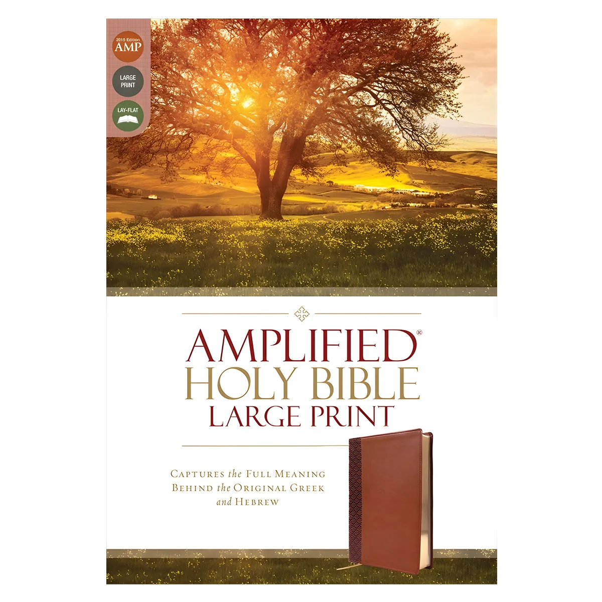 Amplified Brown Imitation Leather Holy Bible Large Print - Image 5