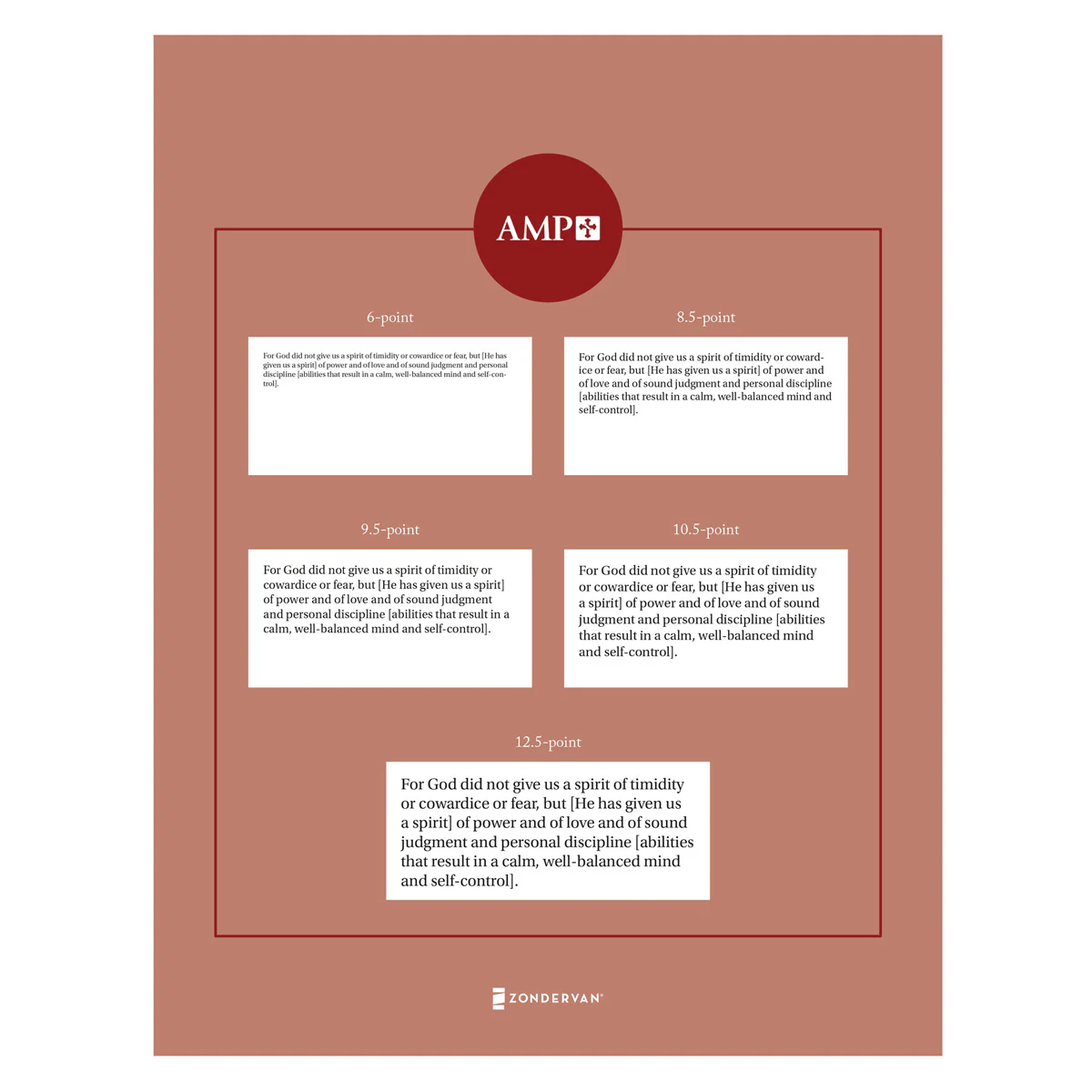 Amplified Brown Imitation Leather Holy Bible Large Print - Image 6