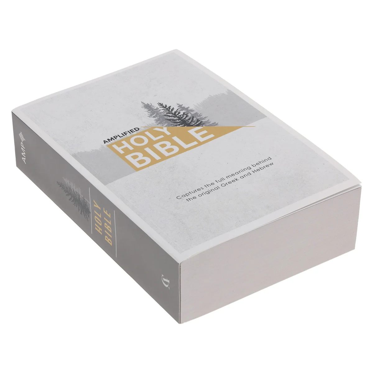 Amplified Grey Paperback Economy Edition Bible - Image 3