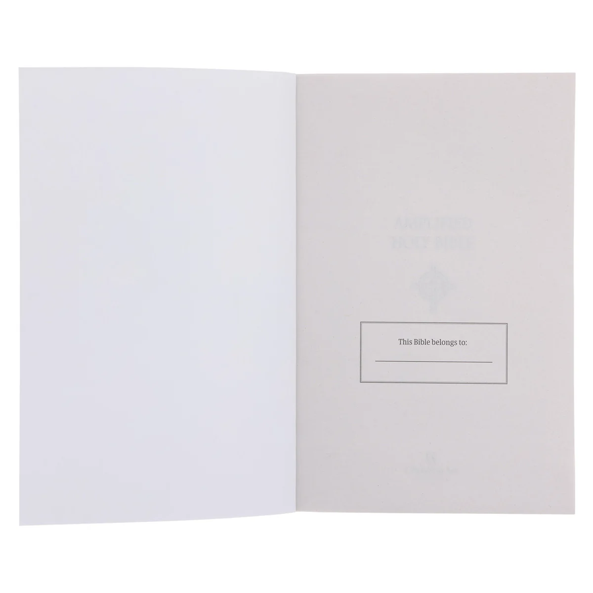 Amplified Grey Paperback Economy Edition Bible - Image 4