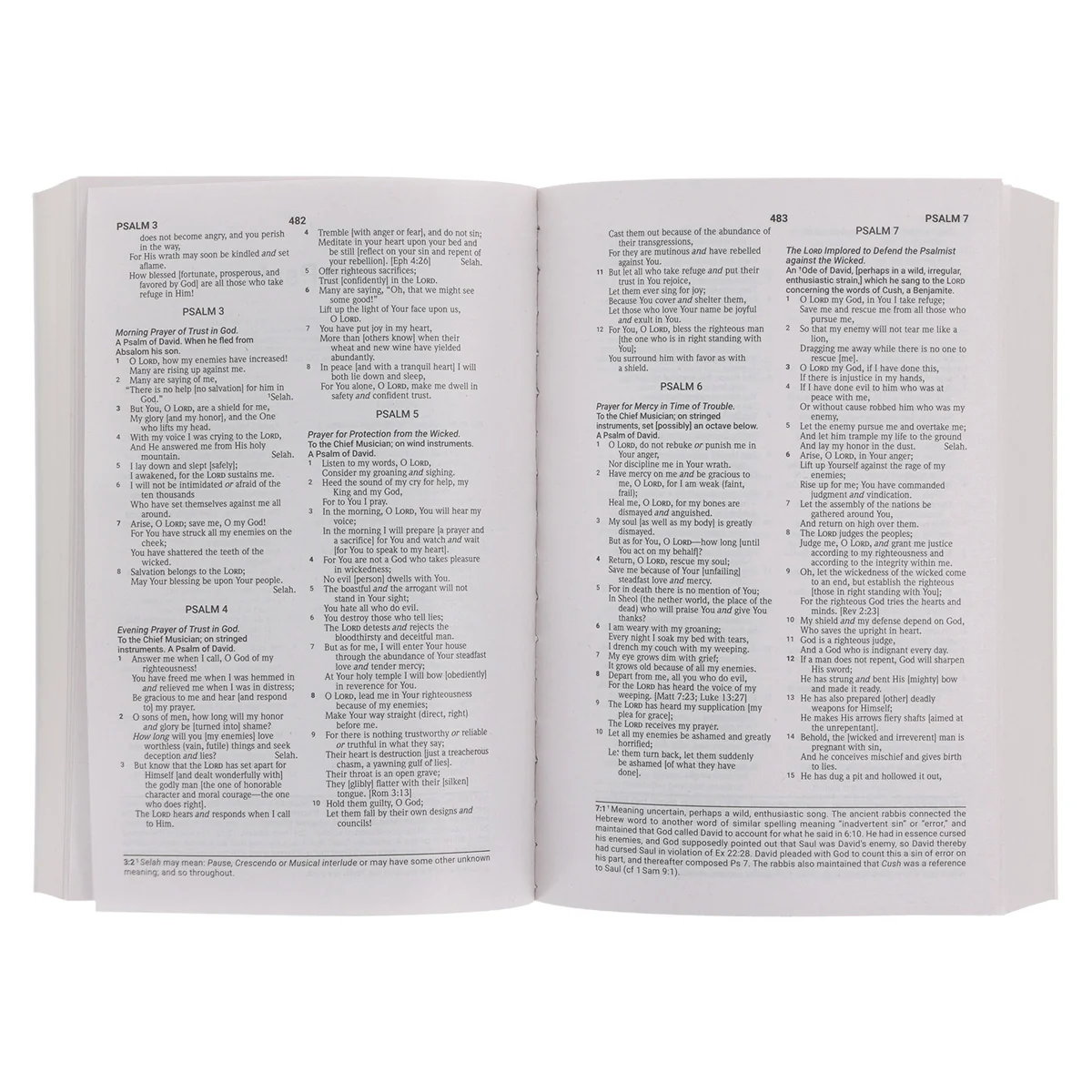 Amplified Grey Paperback Economy Edition Bible - Image 5