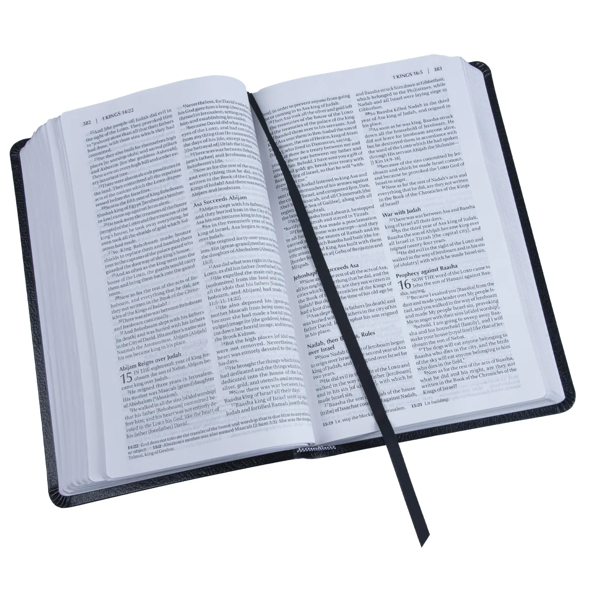 Amplified Holy Bible Black (Bonded Leather) - Image 7