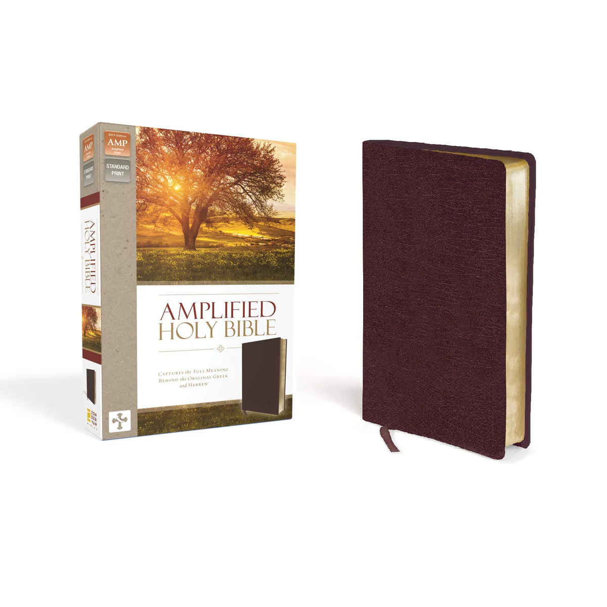 Amplified Holy Bible Large Print Burgundy (Bonded Leather) - Image 2