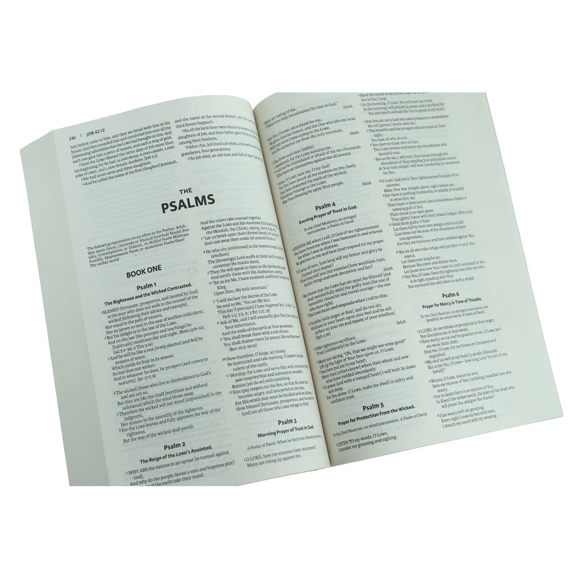 Amplified Outreach Bible (Paperback) - Image 3