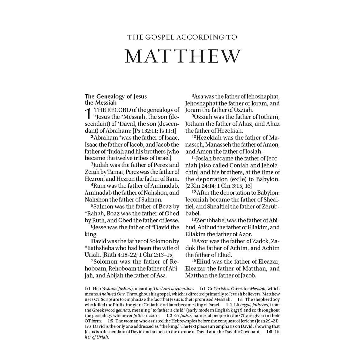 Amplified Purple Imitation Leather Holy Bible Large Print - Image 4