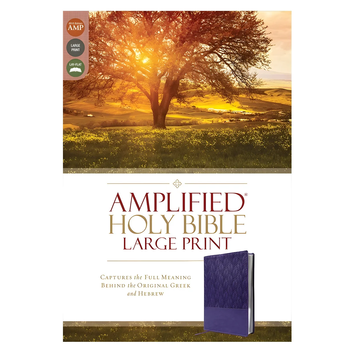 Amplified Purple Imitation Leather Holy Bible Large Print - Image 5