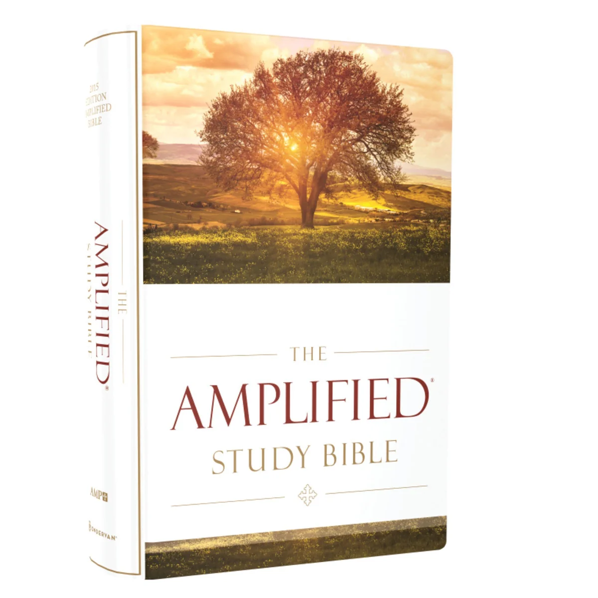 Amplified Study Bible Large Print (Hardcover) - Image 3