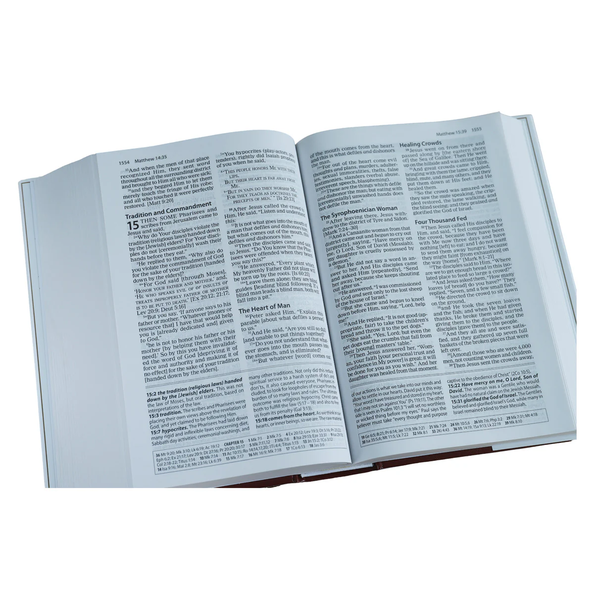 Amplified Study Bible Large Print (Hardcover) - Image 5