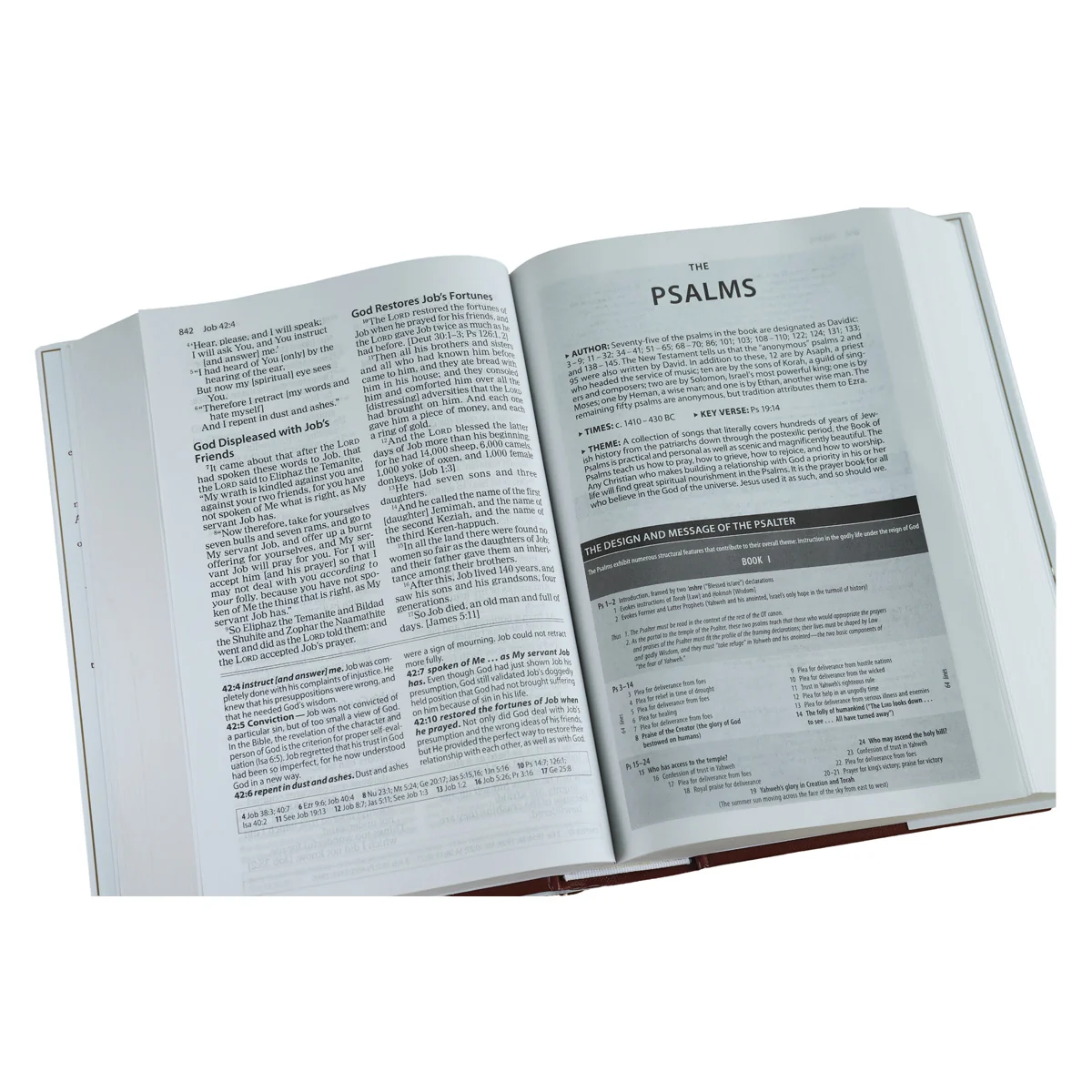 Amplified Study Bible Large Print (Hardcover) - Image 6