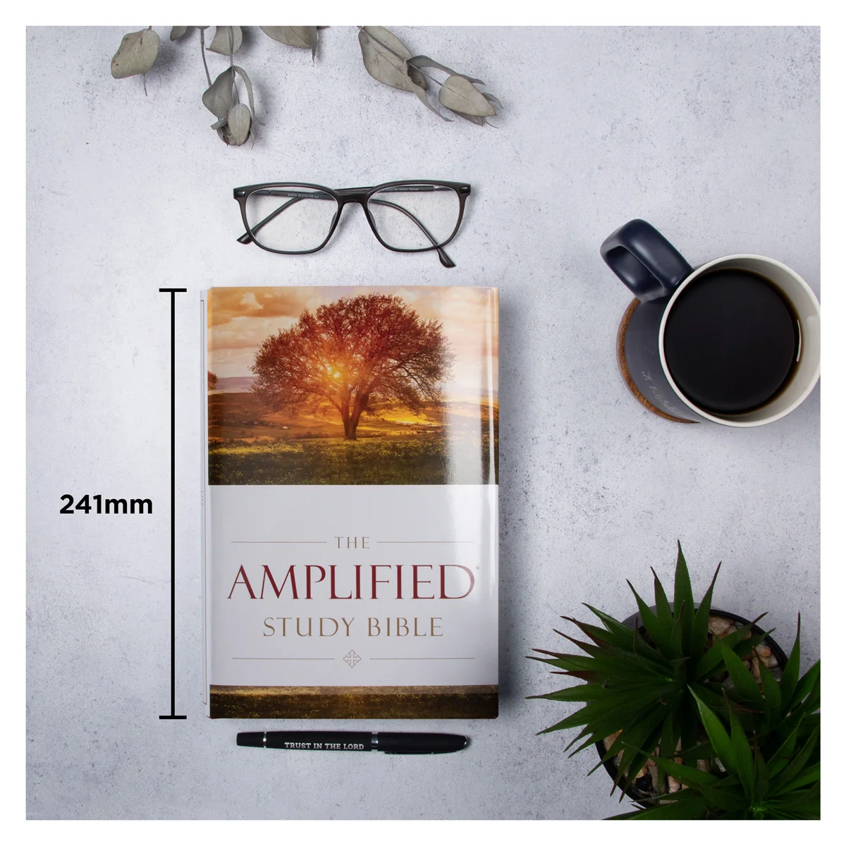 Amplified Study Bible Large Print (Hardcover) - Image 7