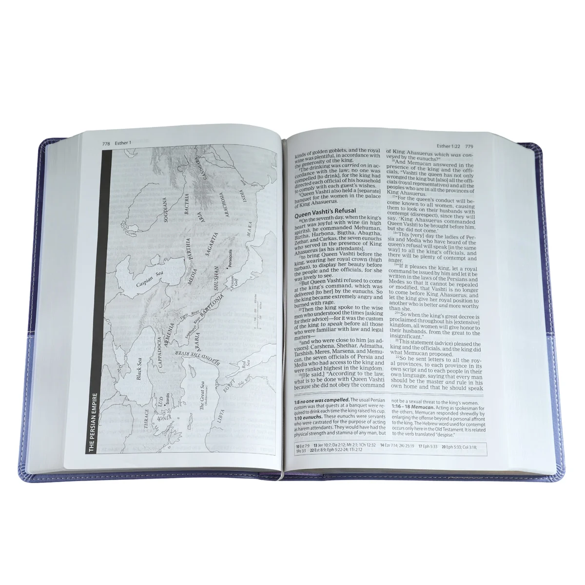 Amplified Study Bible Purple (Imitation Leather) - Image 4