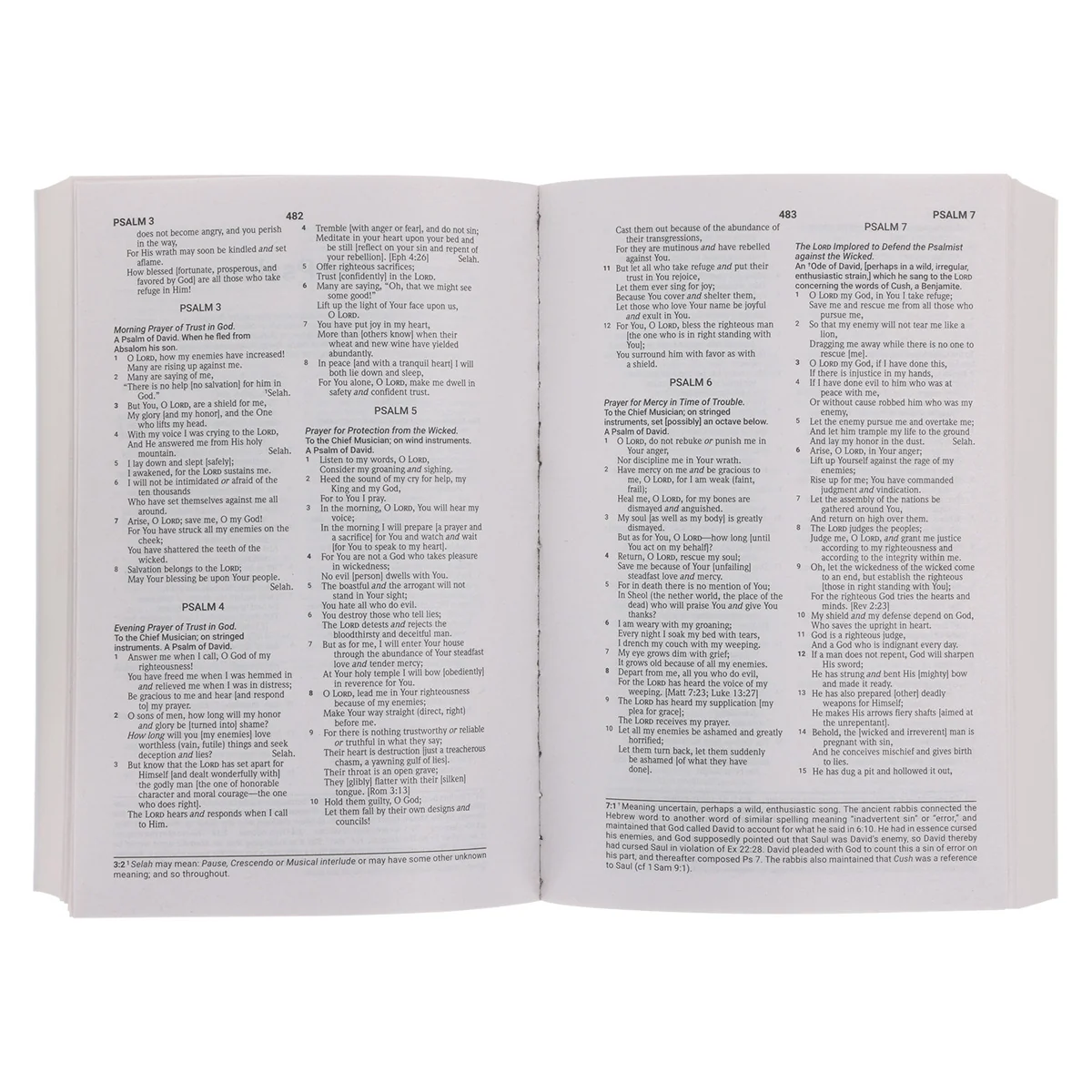 Amplified Wildflowers Paperback Economy Edition Bible - Image 5