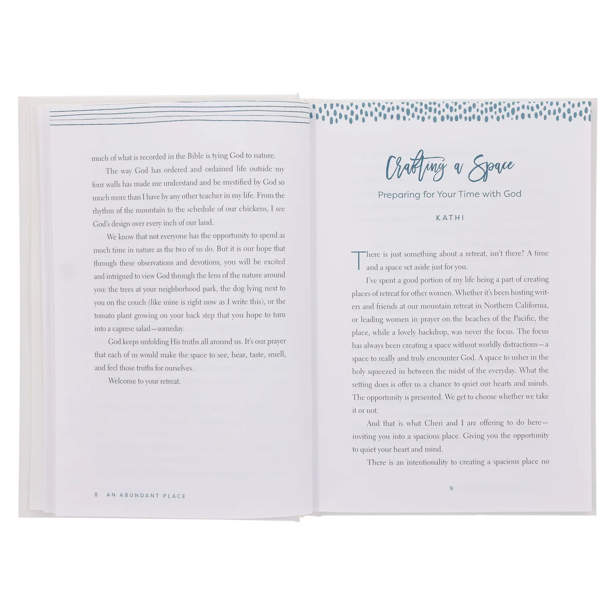 An Abundant Place: Daily Retreats for the Women Who can't Get Away (Hardcover) - Image 3