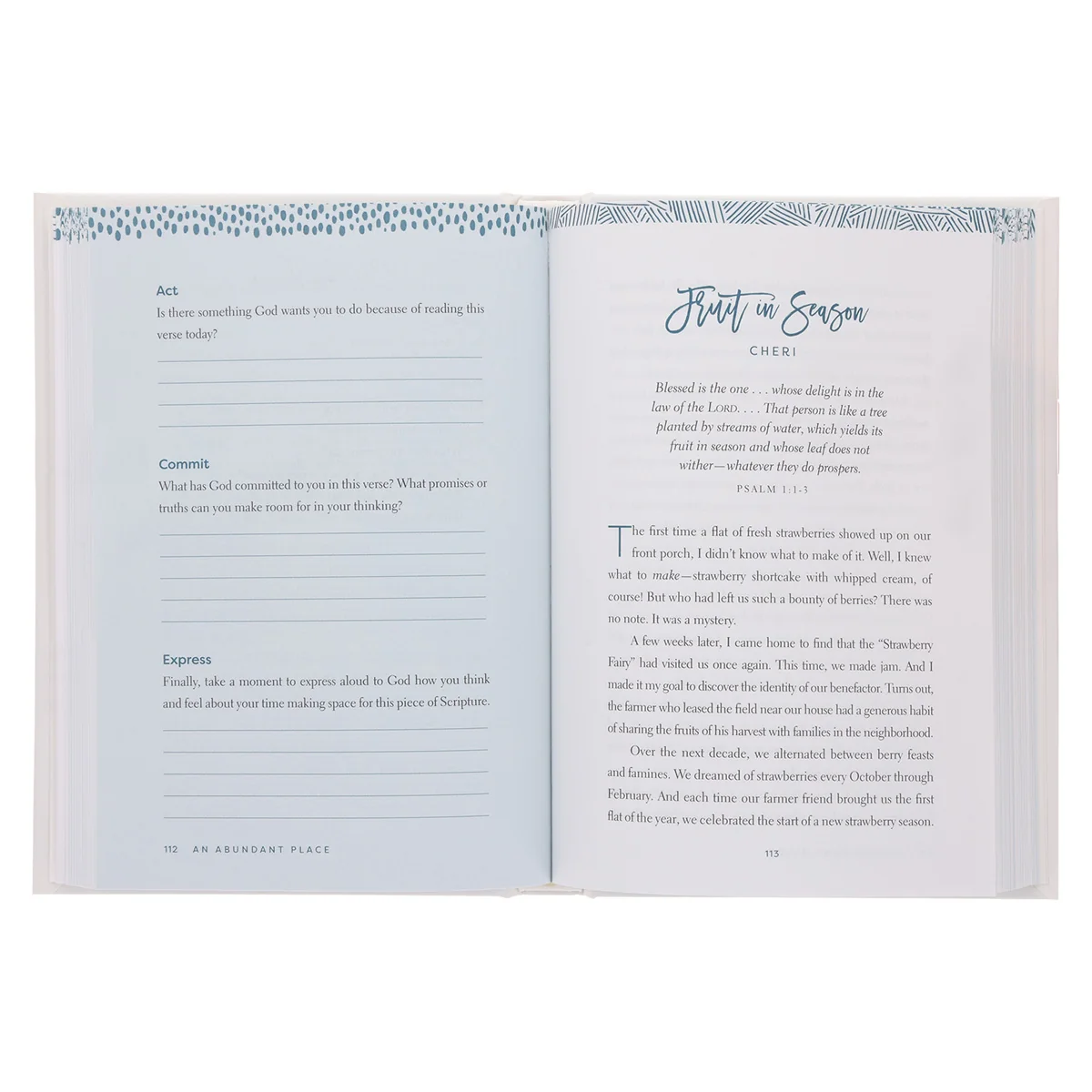 An Abundant Place: Daily Retreats for the Women Who can't Get Away (Hardcover) - Image 5