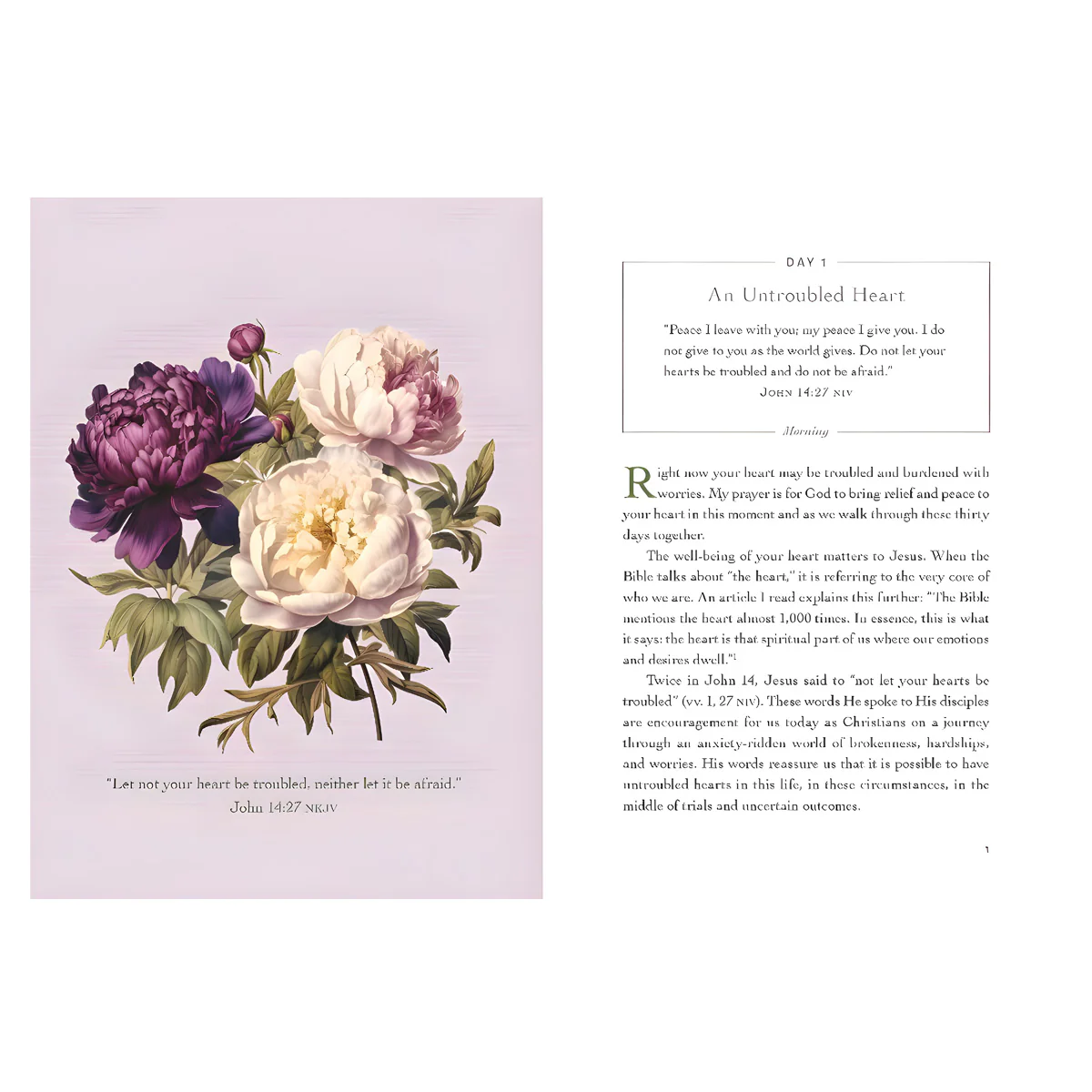 An Untroubled Heart: Calming Anxiety and Finding God's Peace a 30-Day Devotional (Hardcover) - Image 2