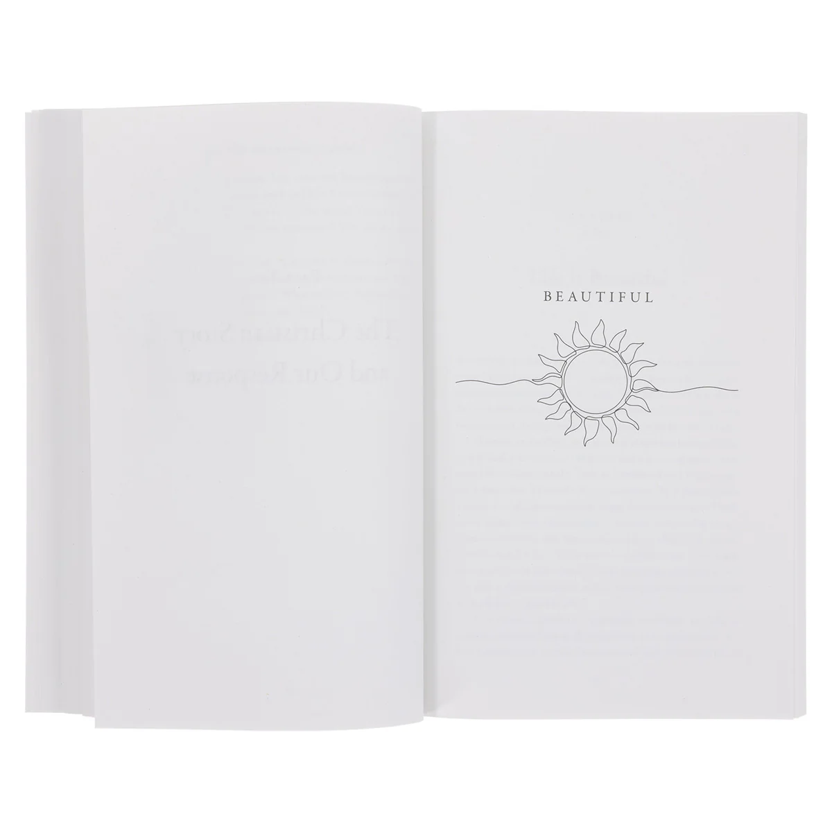 Beautiful Disappointing Hopeful: How Gratitude, Grief & Grace Reflect the Christian Story PB - Image 6
