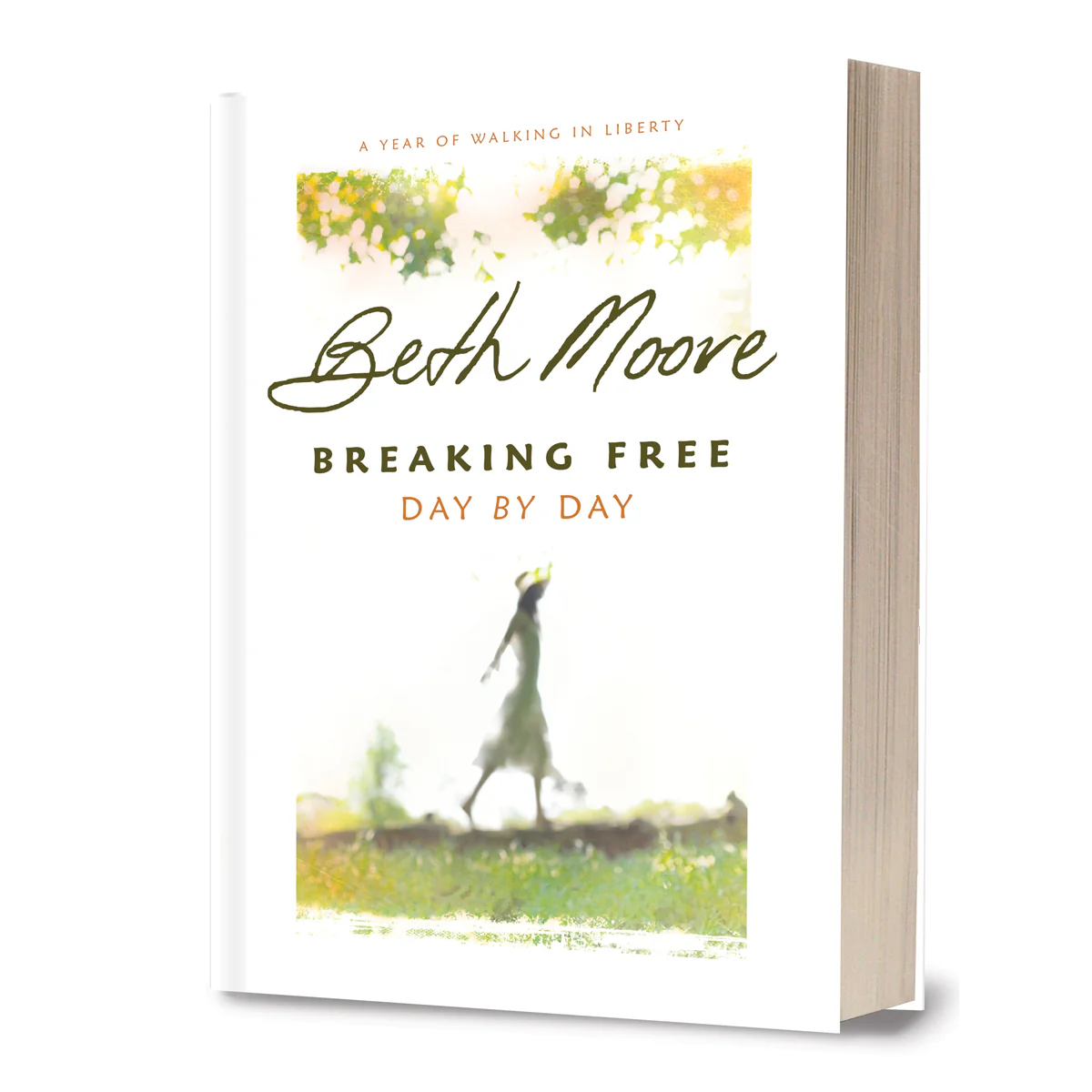 Breaking Free Day By Day (Hardcover) - Image 2