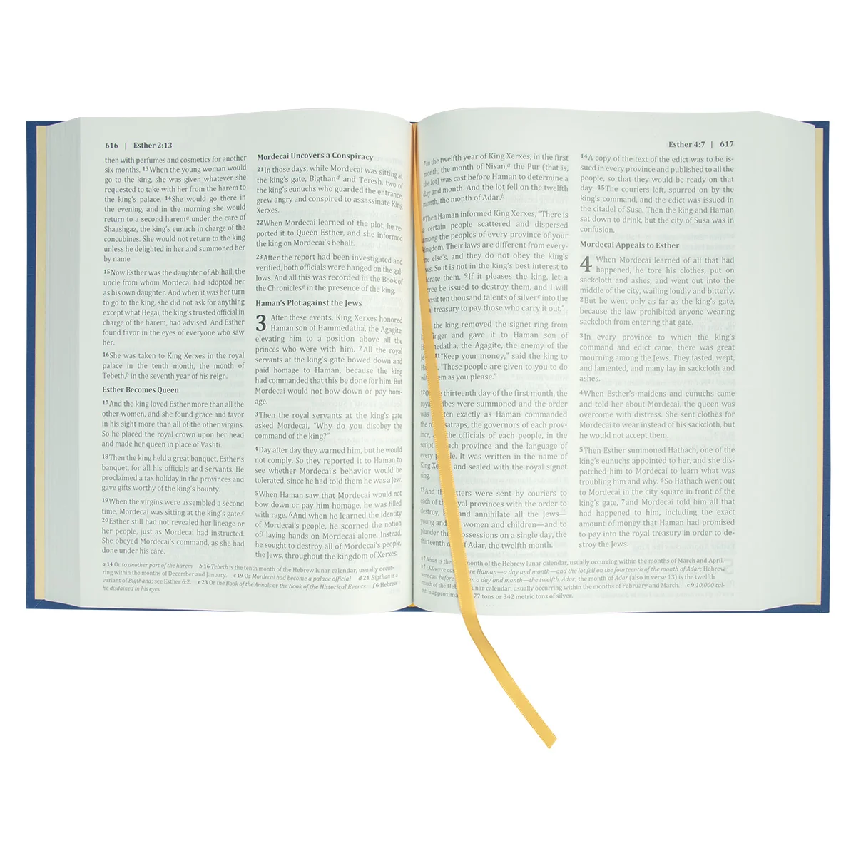 BSB Berean Study Bible Blue (Hardcover) - Image 4