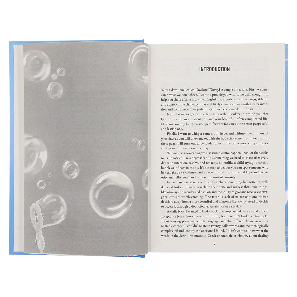 Catching Whimsy: 365 Days of Possibility (Hardcover) - Image 4