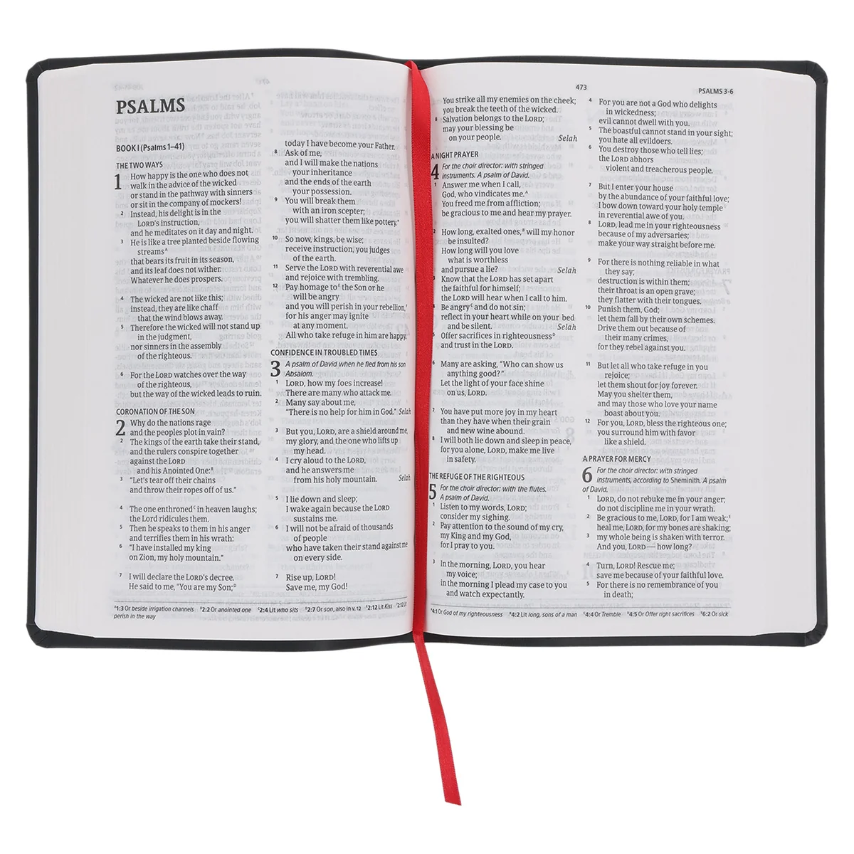 CSB Black Imitation Leather Standard Bible - Image 5