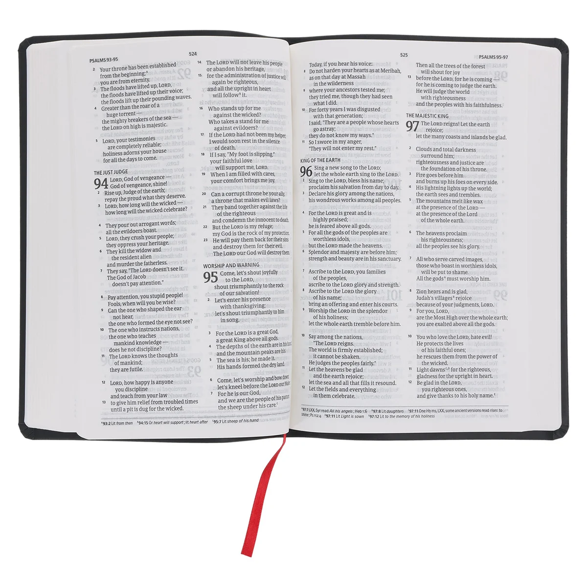 CSB Black Imitation Leather Standard Bible - Image 6