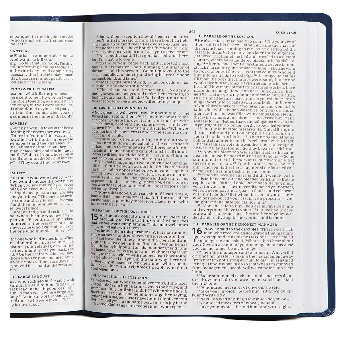 CSB Blue Imitation Leather Gift & Award Bible - Image 4
