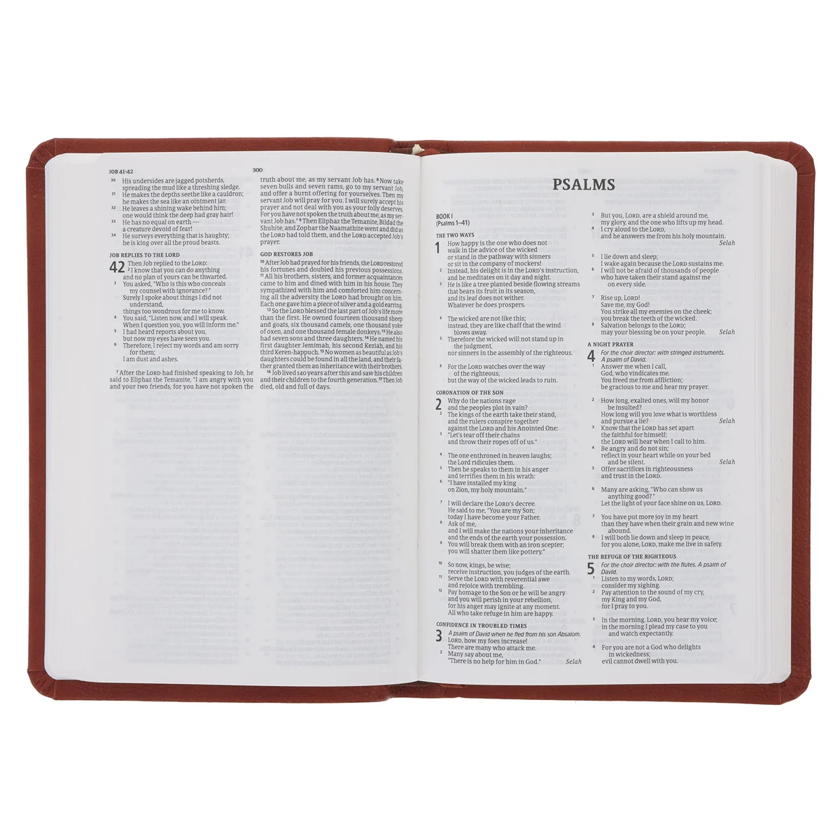 CSB Brown Imitation Leather Value Edition Compact Bible - Image 5