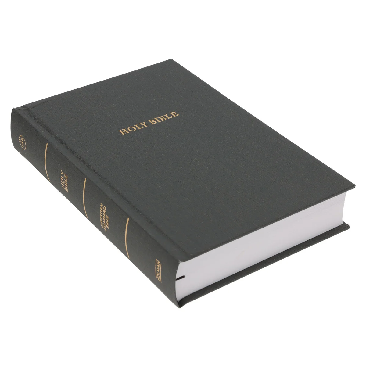 CSB Charcoal Hardcover Grace Dyslexia Friendly Bible Large Print - Image 3