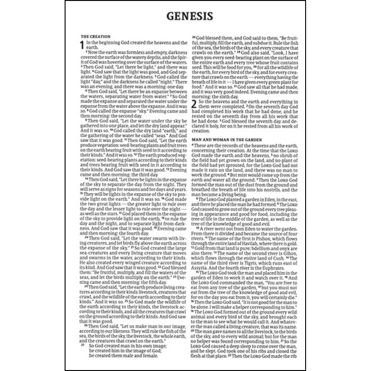 CSB Compact Bible Value Edition Brown (Imitation Leather) - Image 3