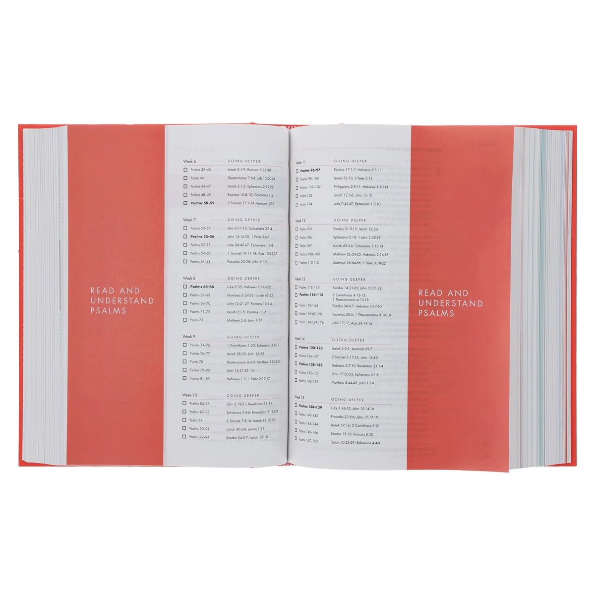 CSB Coral Hardcover She Reads Truth Bible - Image 4