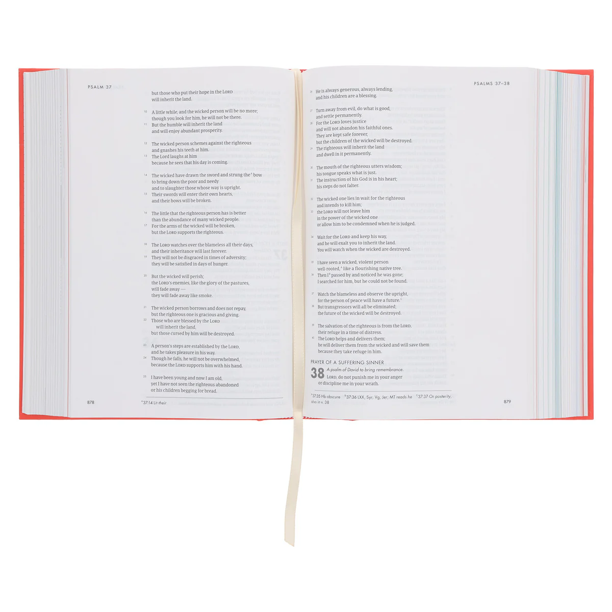 CSB Coral Hardcover She Reads Truth Bible - Image 5