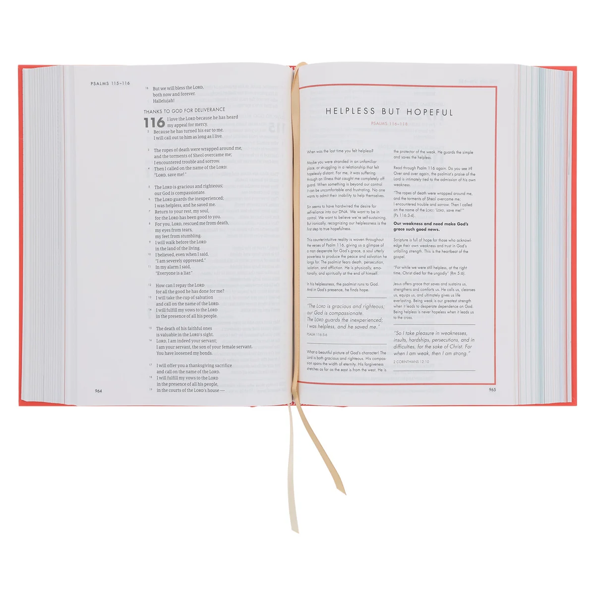 CSB Coral Hardcover She Reads Truth Bible - Image 6