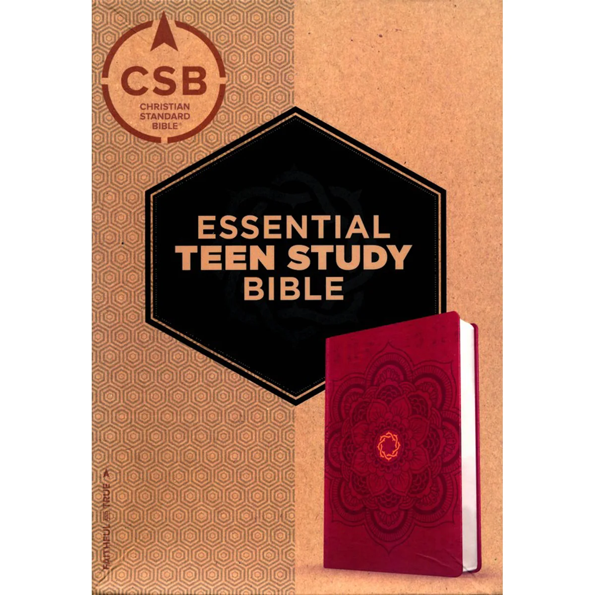 CSB Essential Teen Study Bible Red Flower Cork (Imitation Leather) - Image 3
