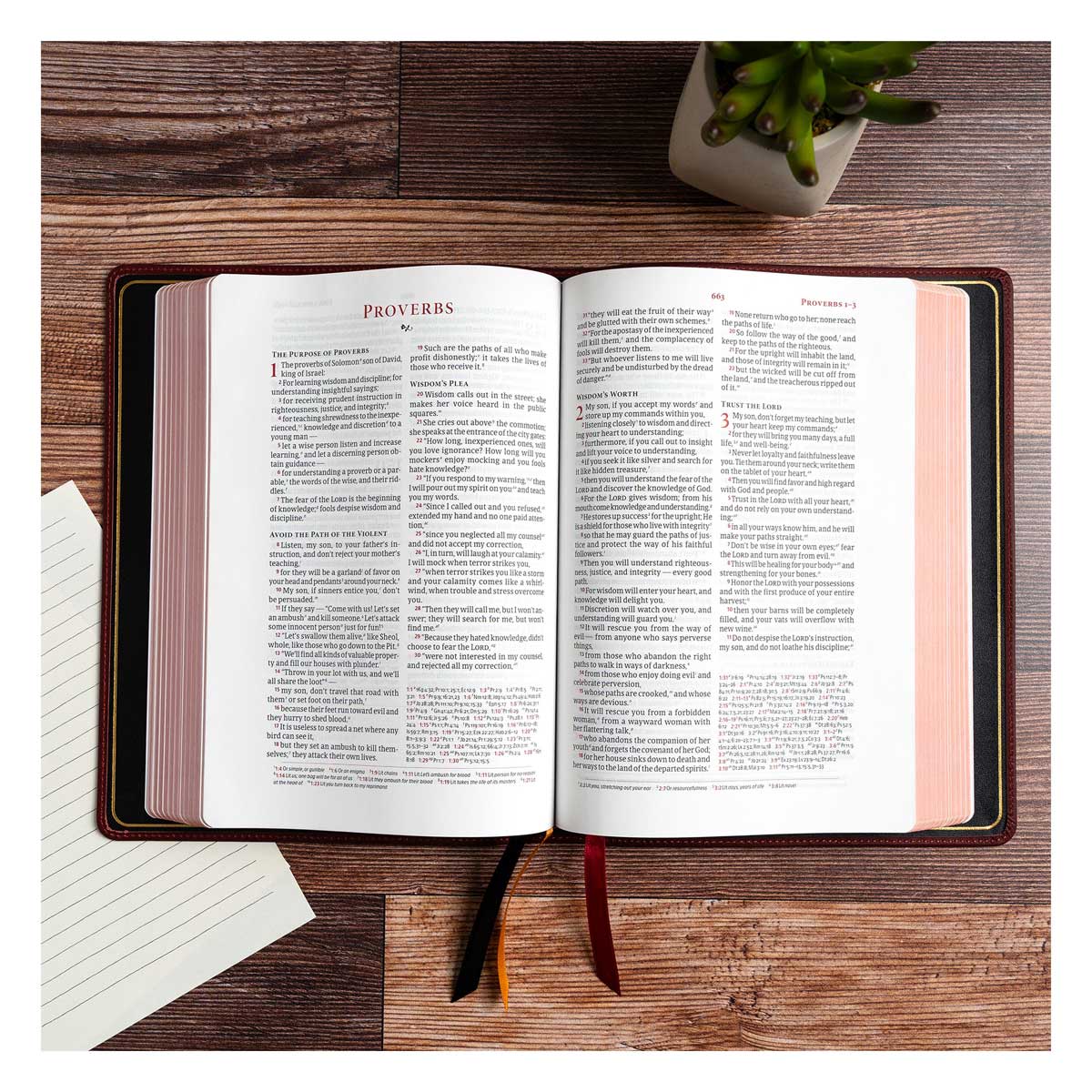 CSB Marbled Burgundy Genuine Leather Verse-by-Verse Reference Handcrafted Bible - Image 2