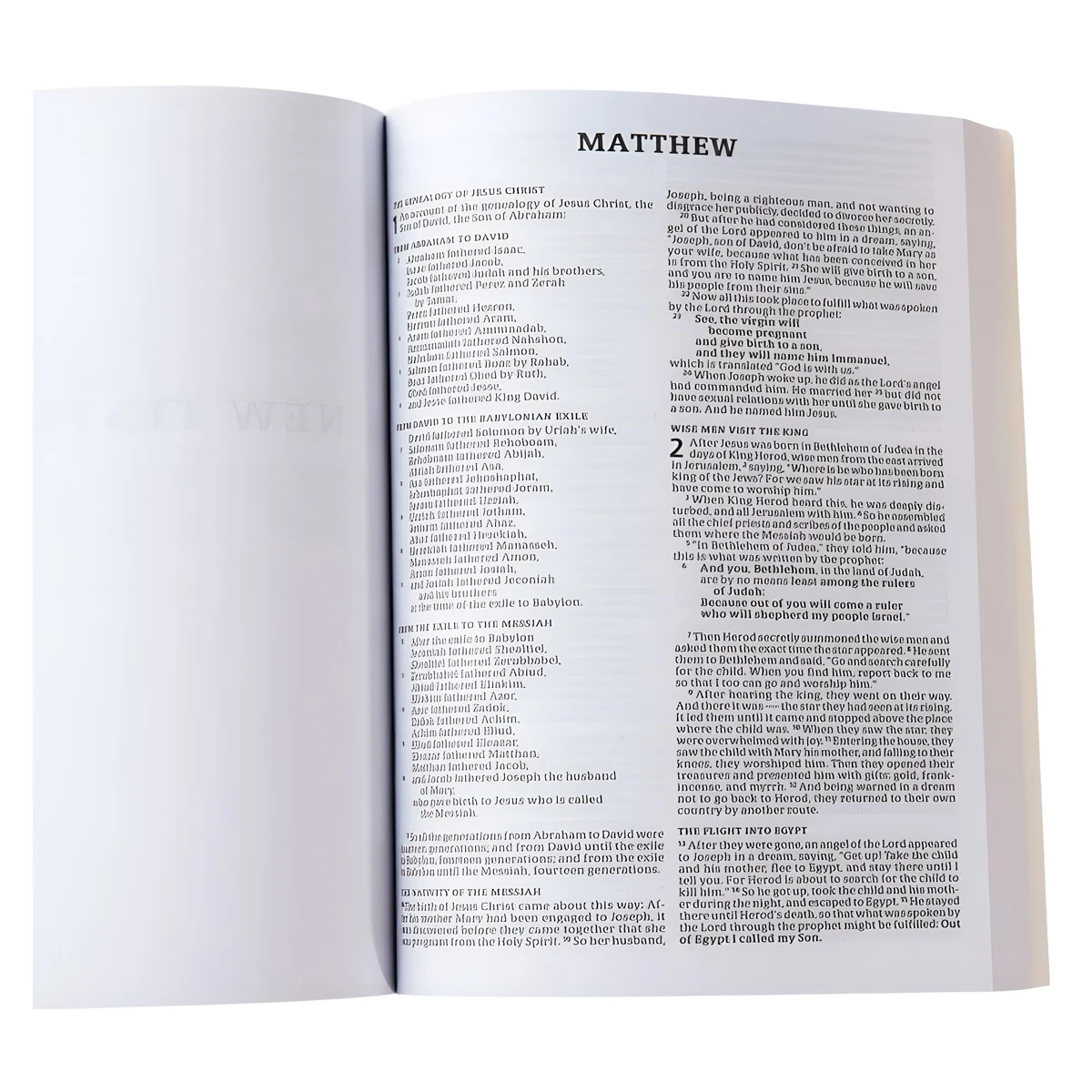 CSB Outreach Bible For Kids (Paperback) - Image 4