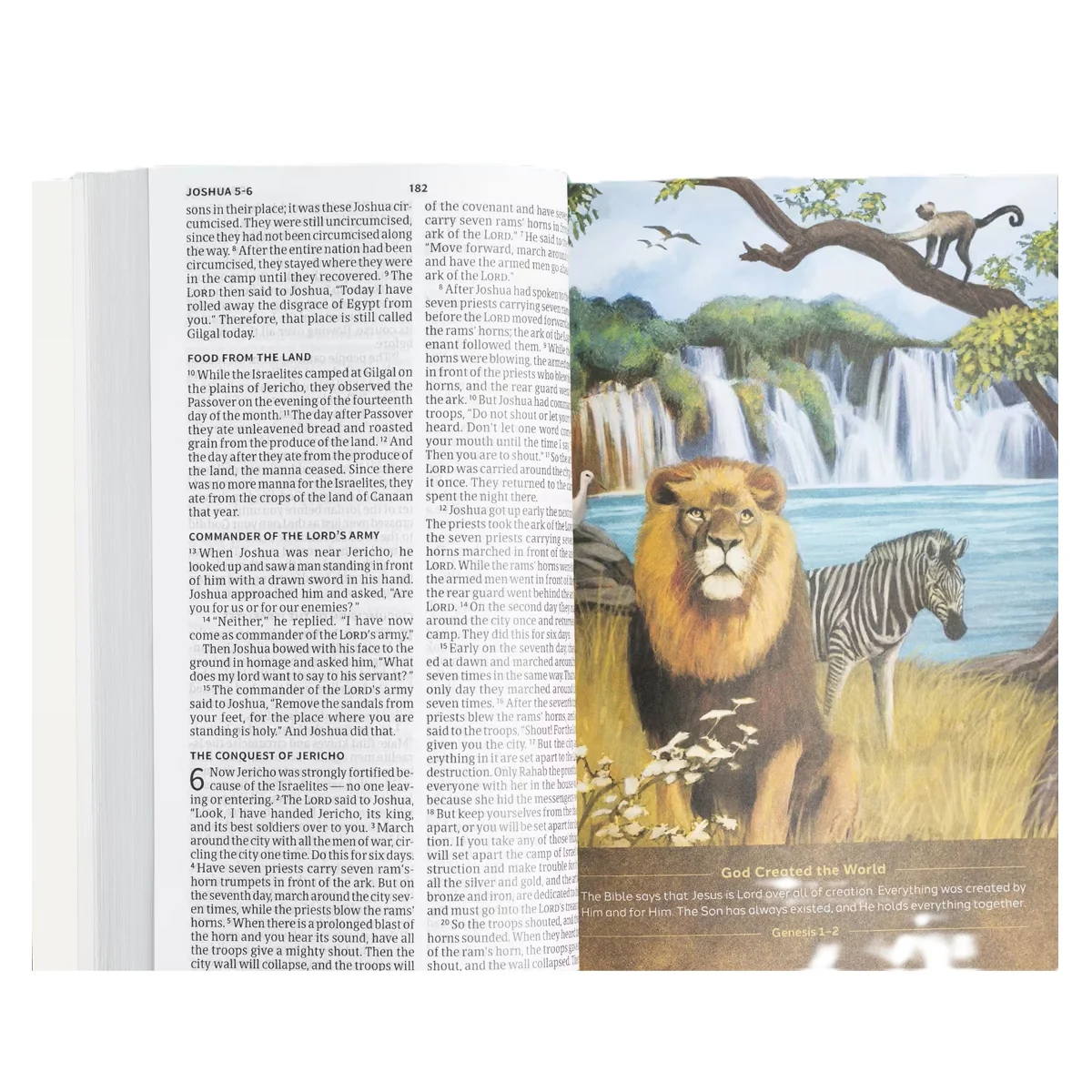 CSB Paperback Holy Bible for Kids Economy Edition Large Print - Image 5