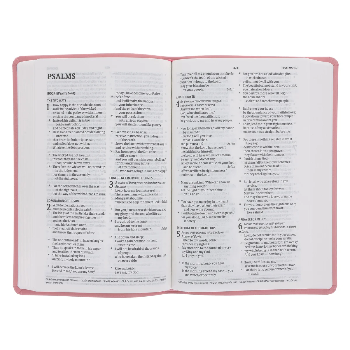 CSB Pink Imitation Leather Standard Bible - Image 4