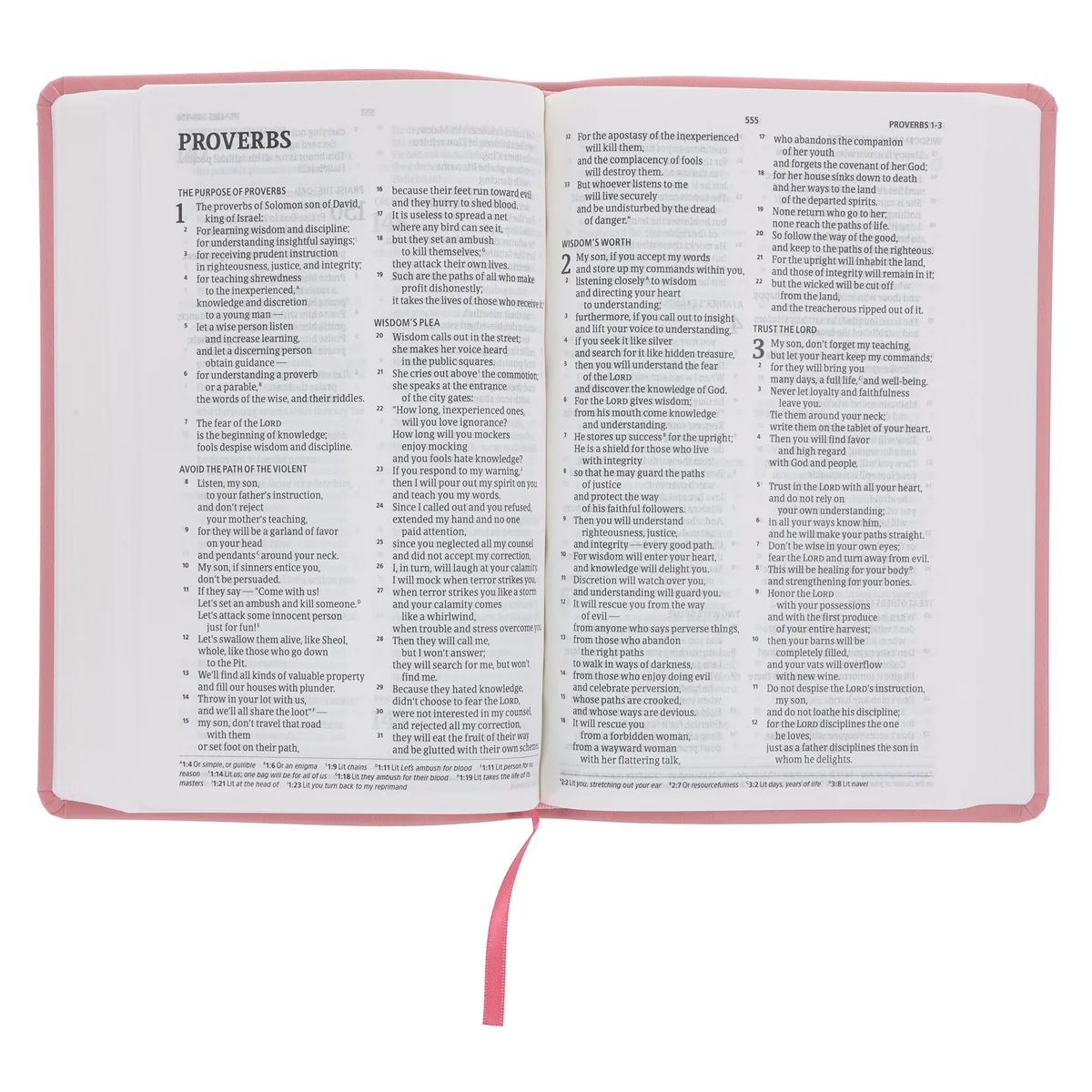 CSB Pink Imitation Leather Standard Bible - Image 6