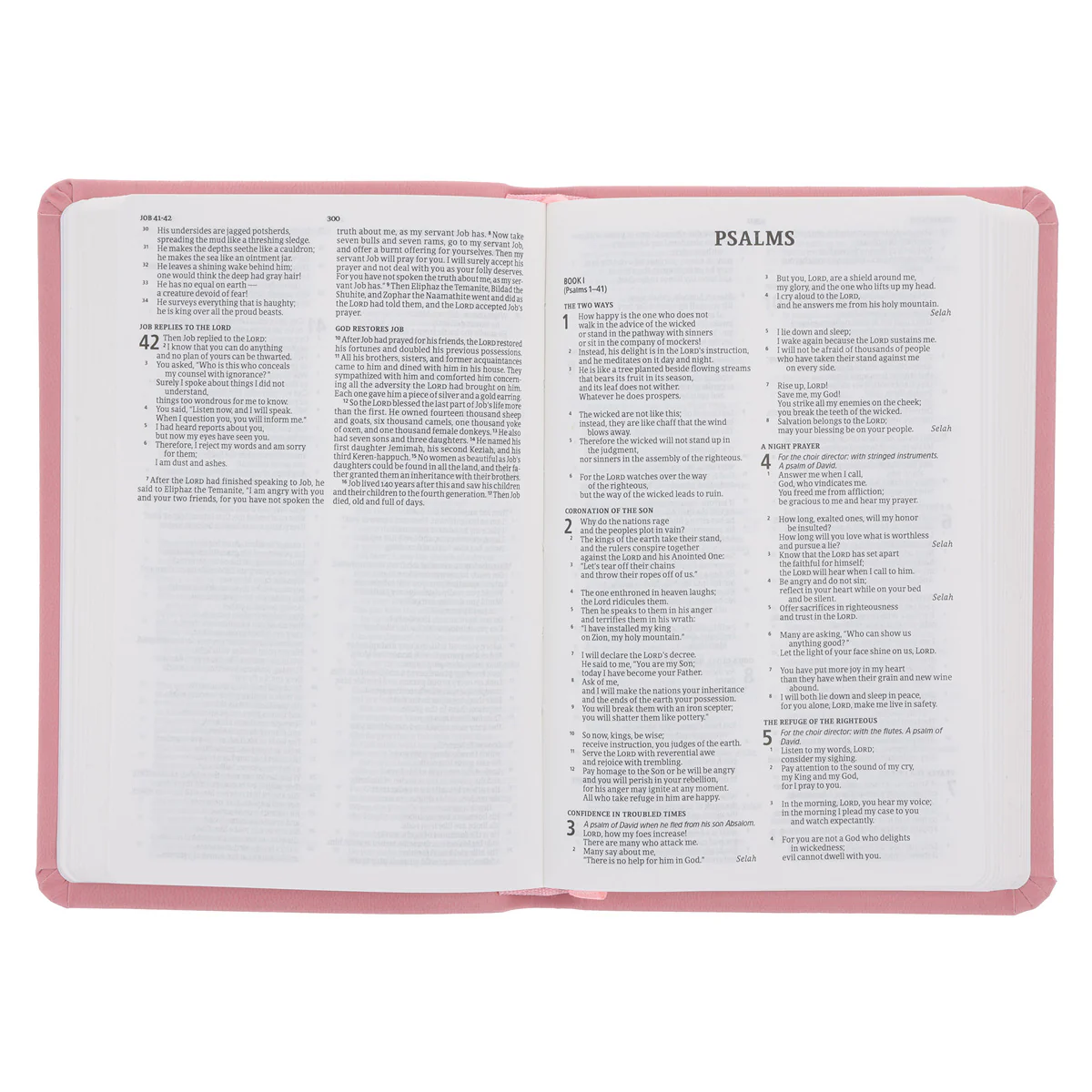 CSB Pink Imitation Leather Value Edition Compact Bible - Image 5