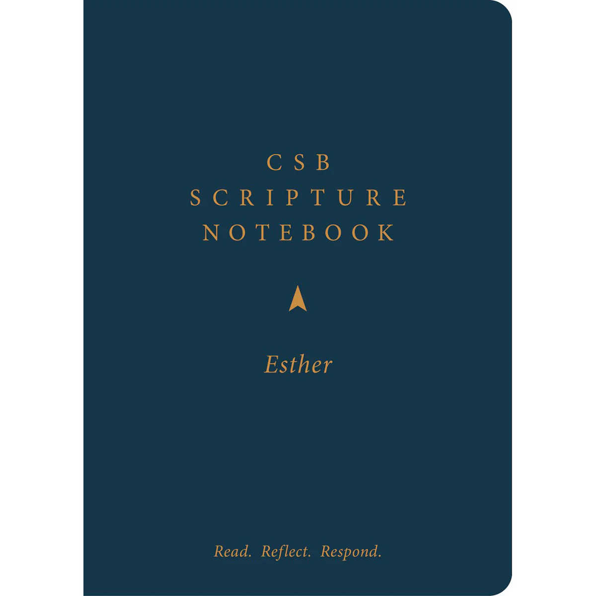 CSB Scripture Notebook Esther: Read Reflect Respond (Paperback)