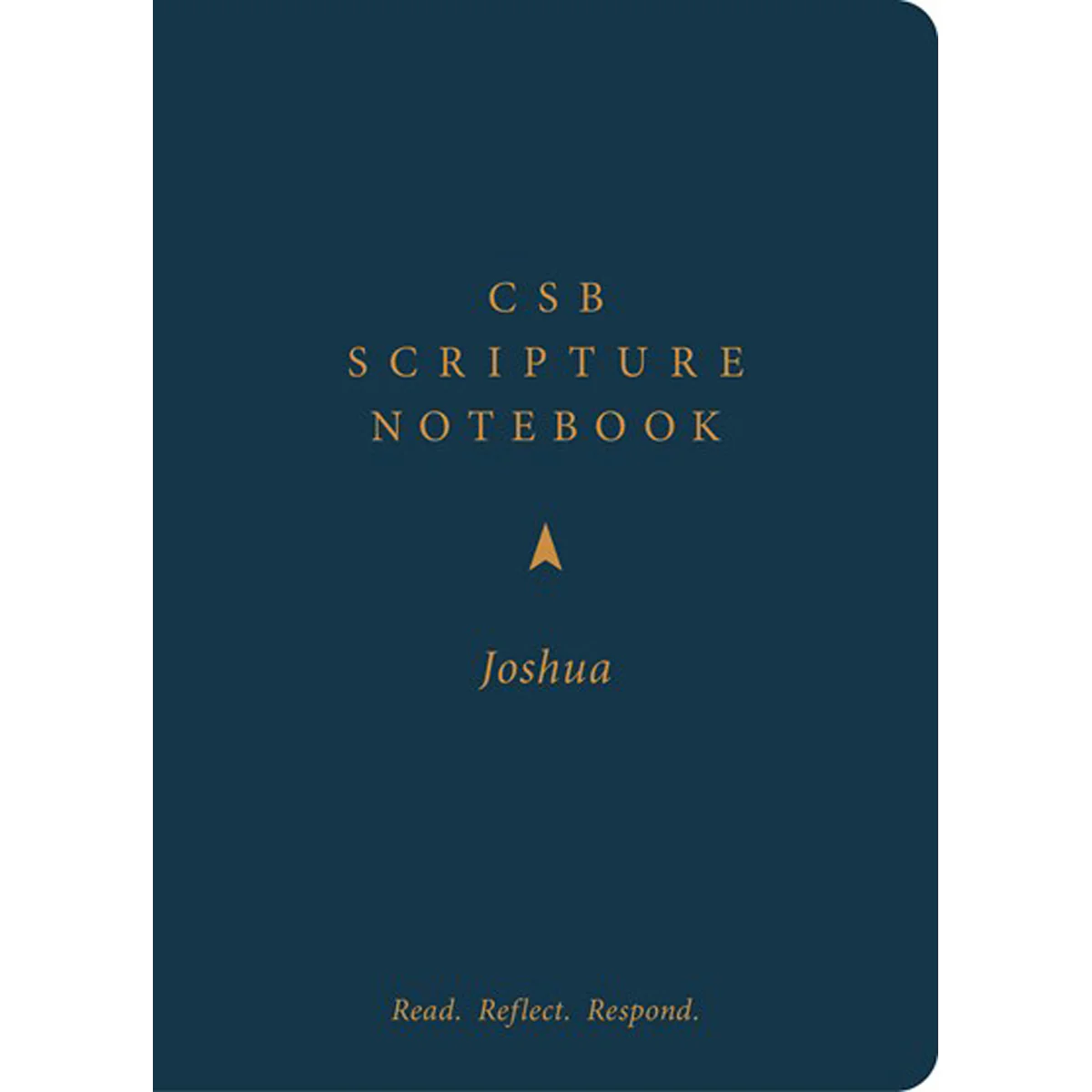 CSB Scripture Notebook Joshua: Read Reflect Respond (Paperback)