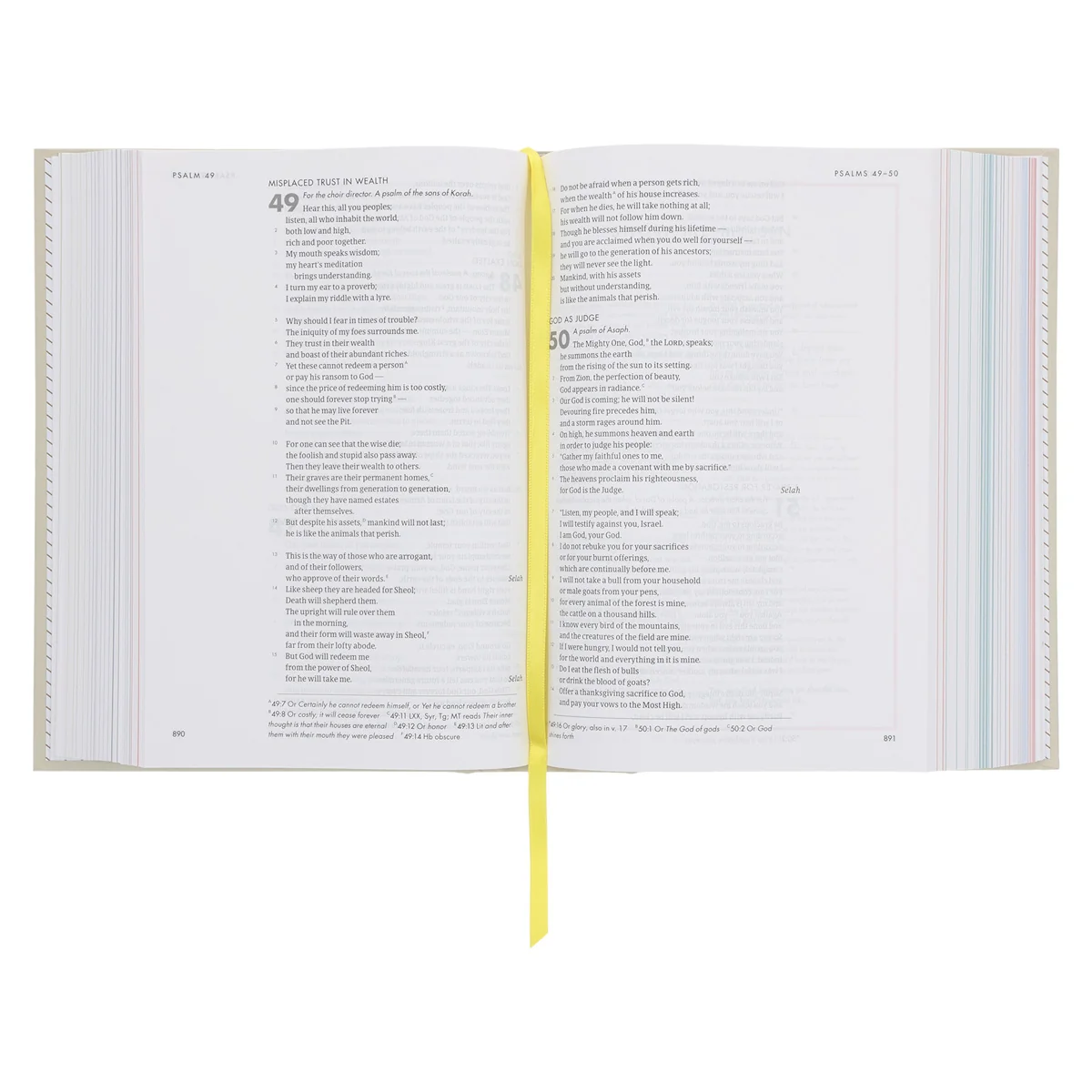 CSB She Reads Truth Bible Beige (Hardcover) - Image 5